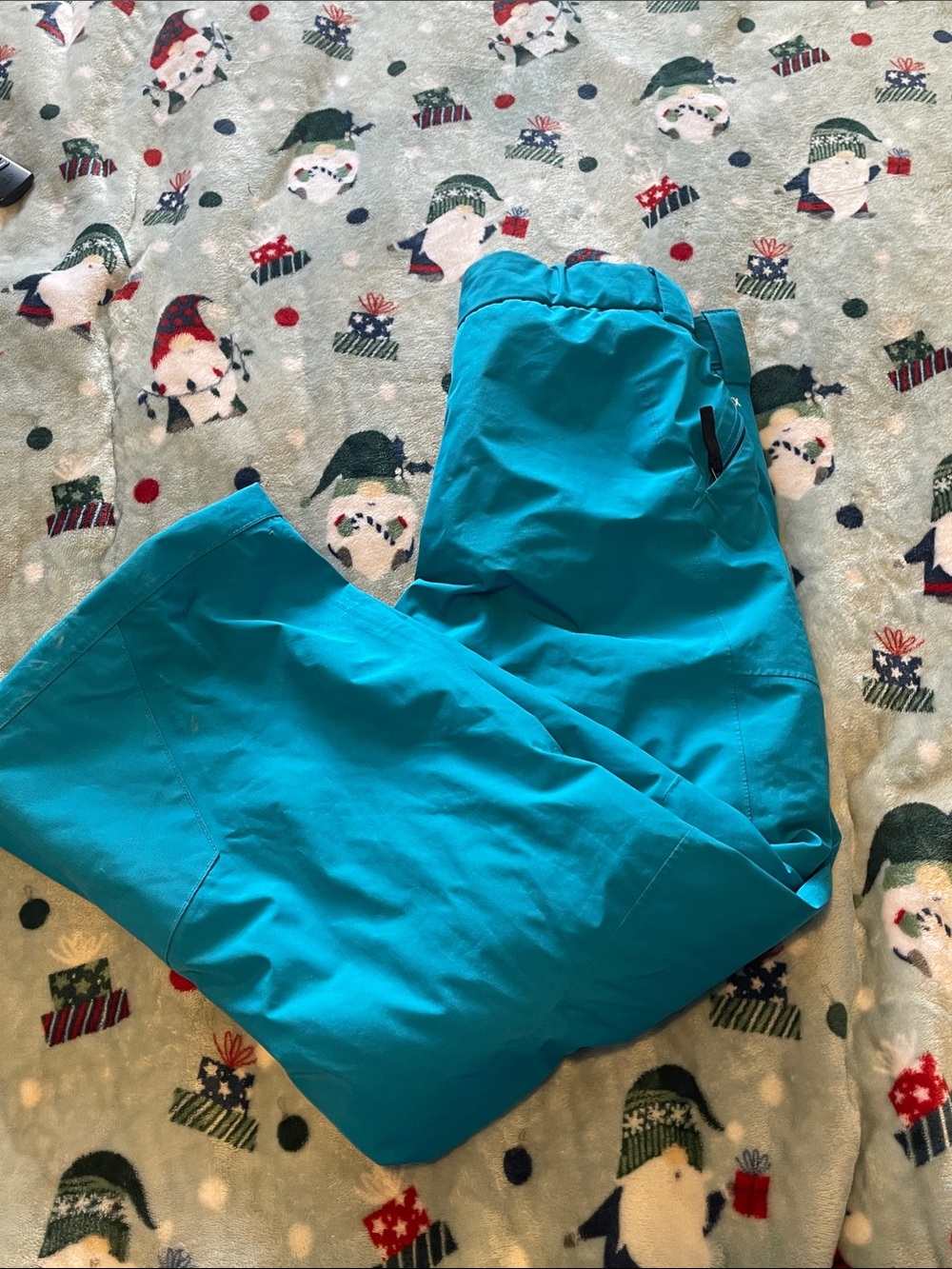The North Face Teal Kids Snow Pants